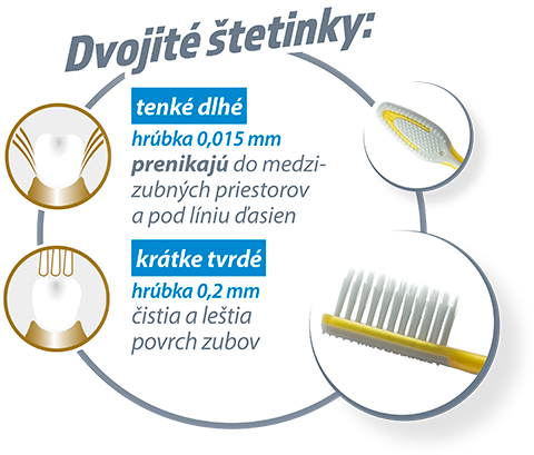 Dvojitý systém štetiniek